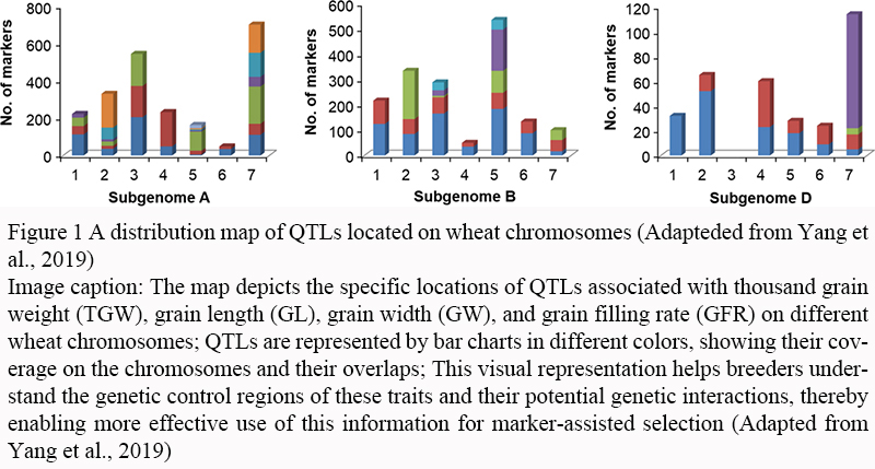 Quantitative Trait Loci (QTL) Mapping in Wheat: Success Stories and ...