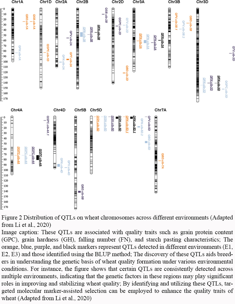 Quantitative Trait Loci (QTL) Mapping in Wheat: Success Stories and ...