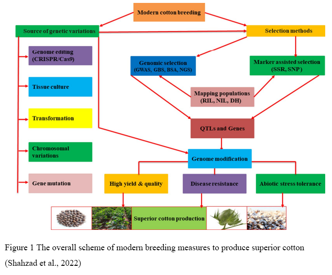 GWAS Revealed the Key Genetic Factors Affecting Cotton Fiber Quality ...