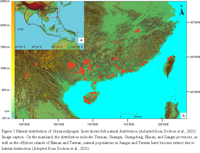 From Wild to Cultivated: The Domestication Pathways of Asian Cultivated ...