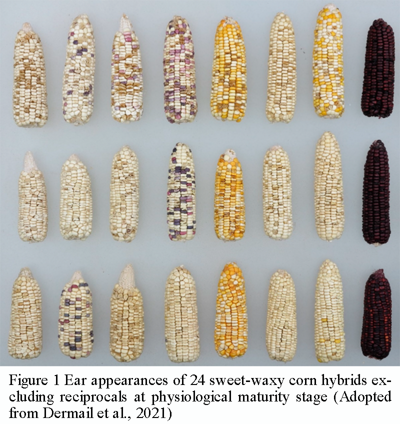 Review of Exploration and Evaluation of New Germplasm Resources in ...
