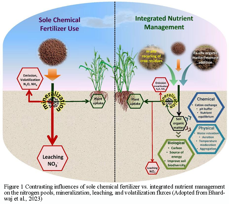 Improving Rice Grain Quality Through Integrated Nutrient Management ...