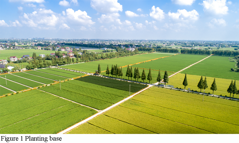 Comprehensive Evaluation of Growth Traits, Physiological Resistance ...