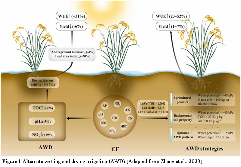 Evaluating the Application Effects of Alternate Wetting and Drying (AWD ...