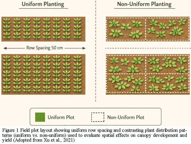 Effects of Planting Density on Growth and Yield of Soybean in Field ...
