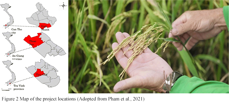 Innovations in Water Management for Rice Cultivation: Benefits of ...