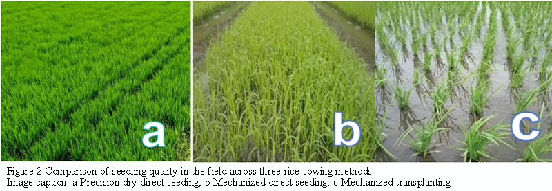 Improving Rice Yield under Direct Seeding through Synergistic Water and ...
