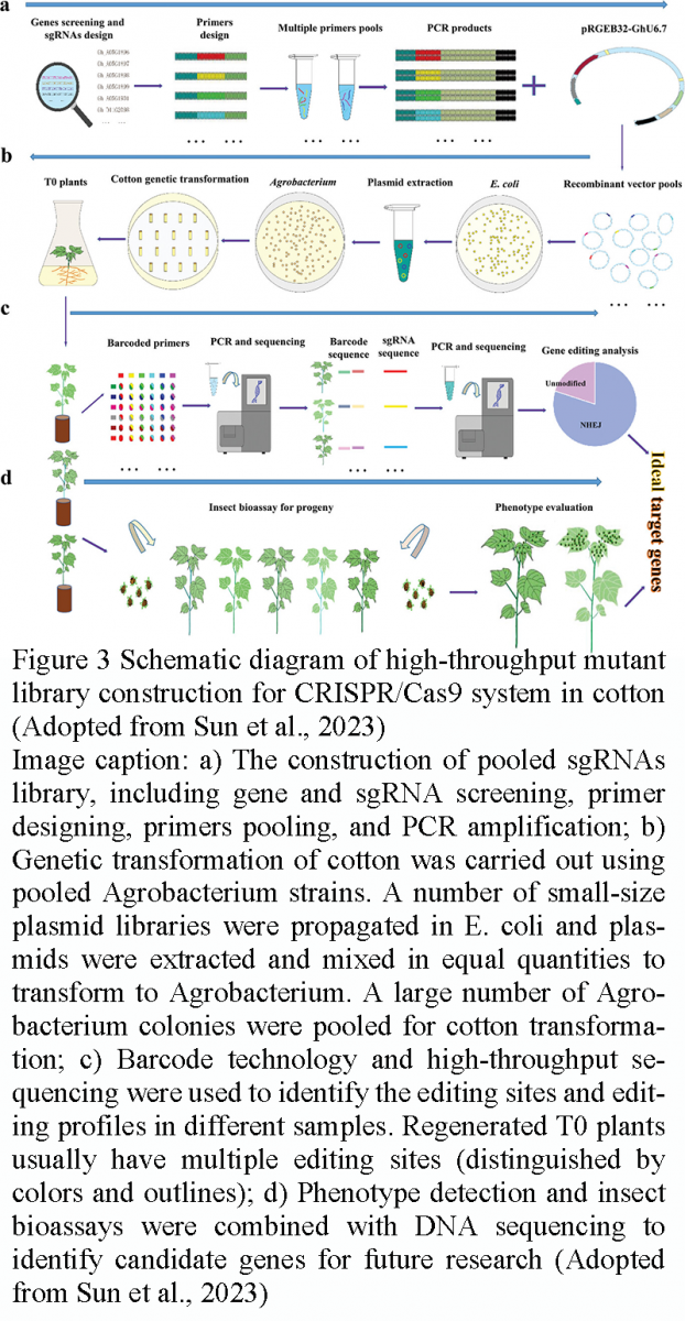 Utilizing Genome Sequencing for Enhanced Pest Resistance in Cotton ...