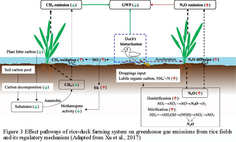 Regulatory Effects of Integrated Rice-Farming Systems on Soil Nutrient ...